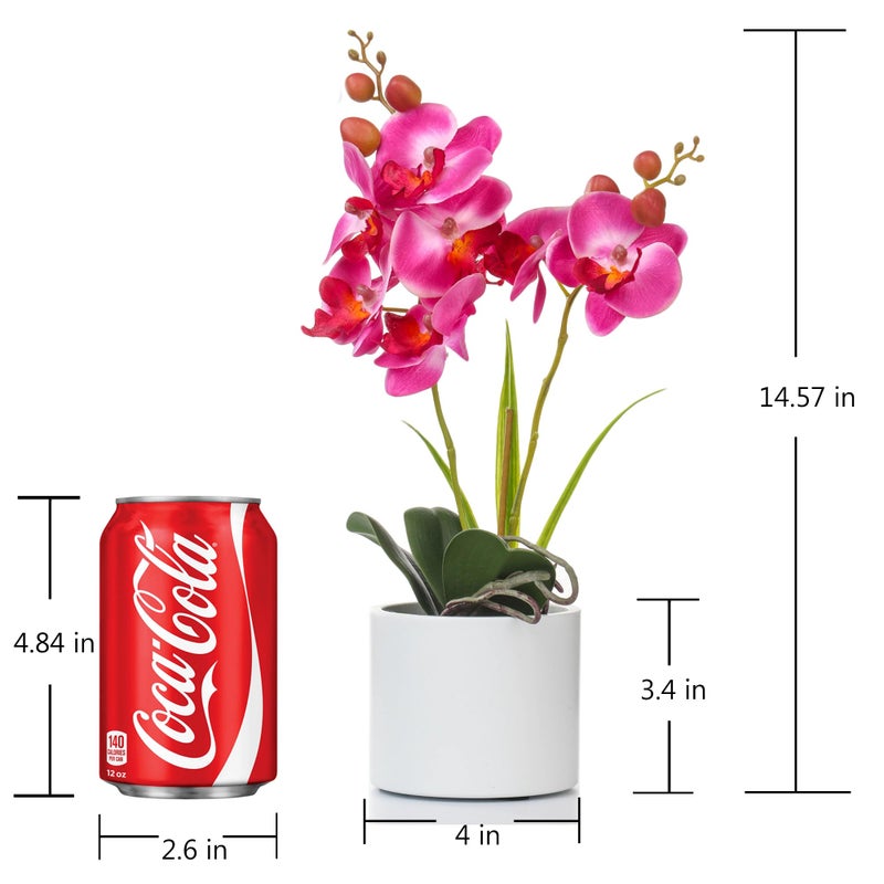 Jusdreen Artificial Purple Orchid, Phalaenopsis in Ceramic Pot with Vase for Home Office Table Decor, Flower Centerpiece - Image 2